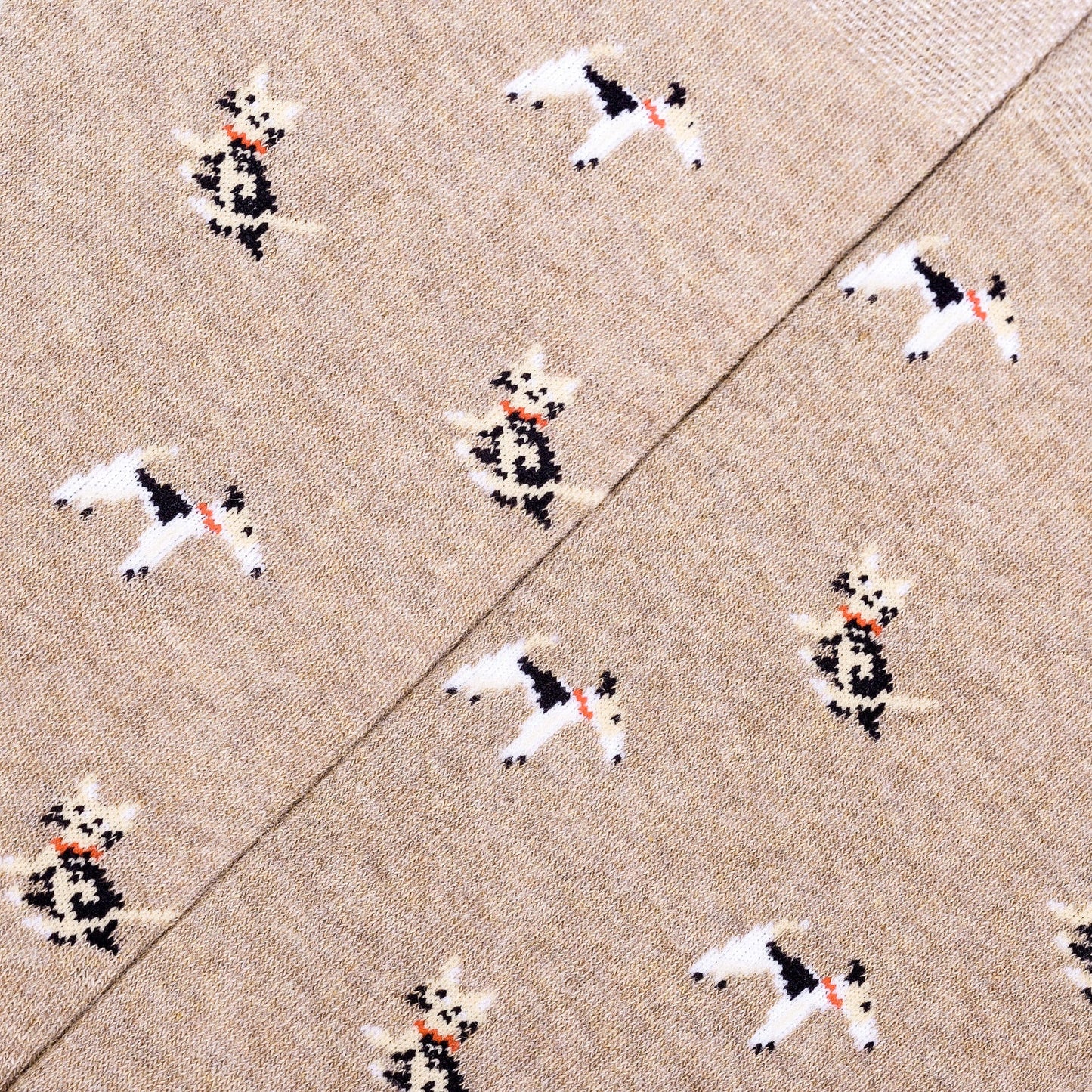 PET LOVERS Socks