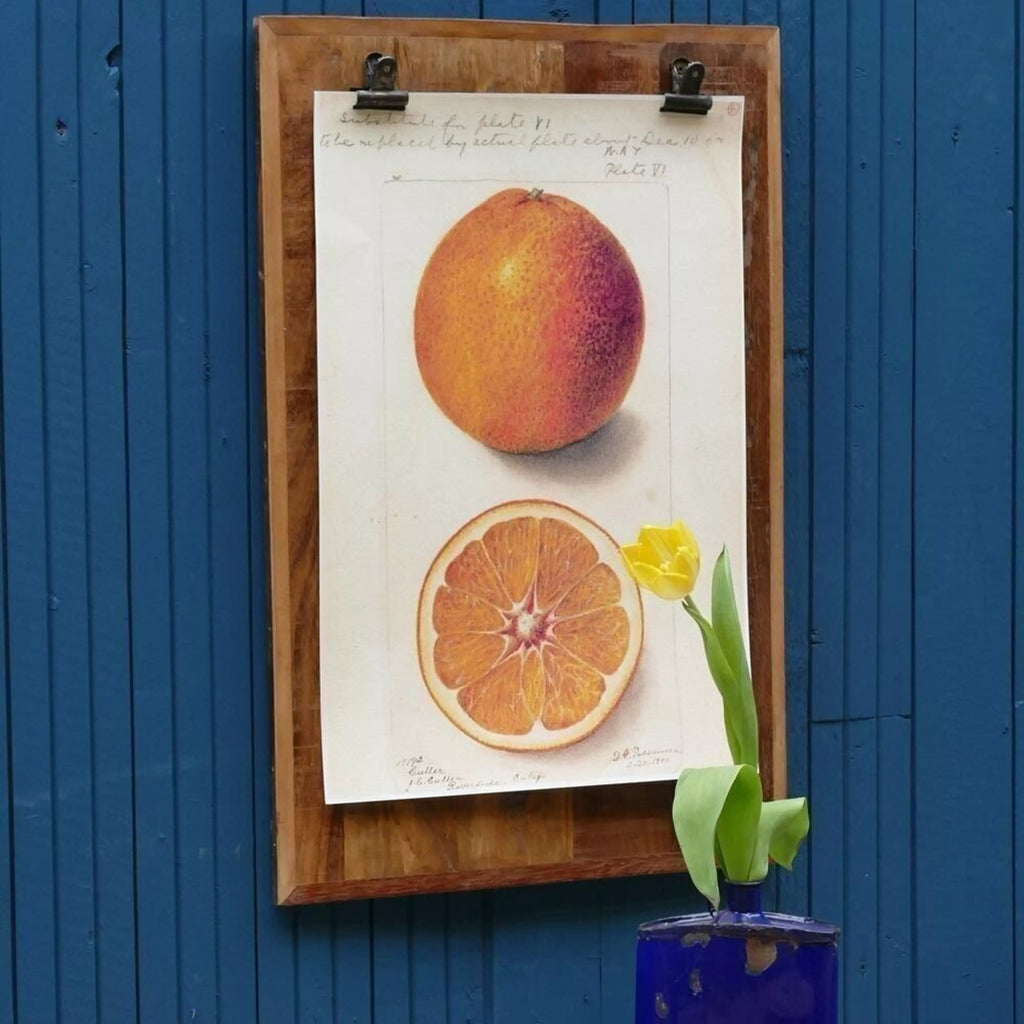 CLIPBOARD BLACKBURN