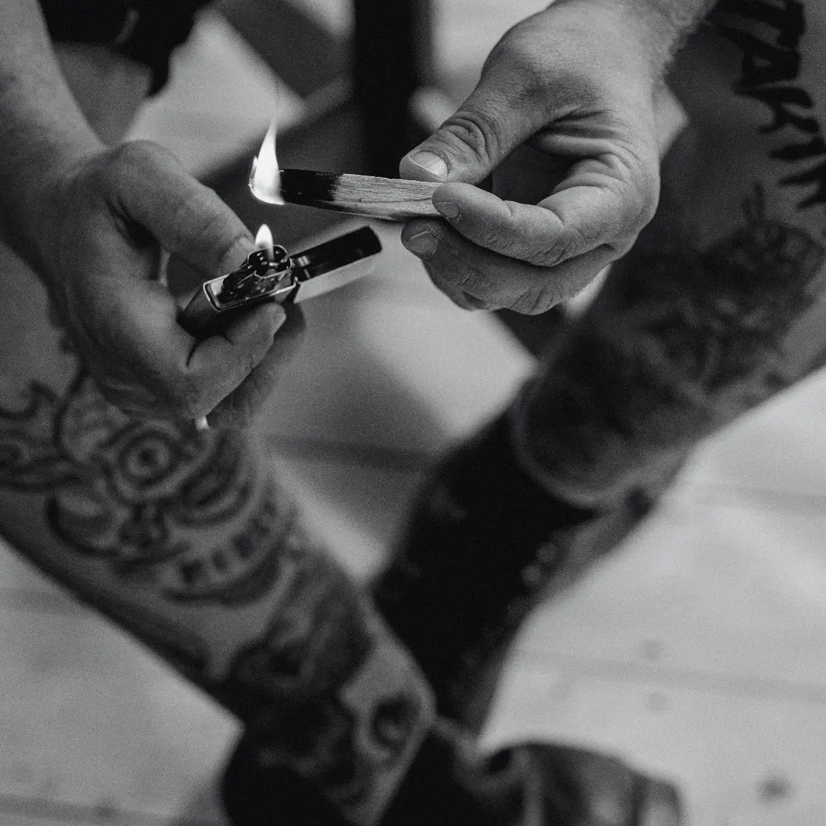 PALO SANTO [holywood]