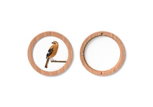 round frames | runde bilderrahmen [2er|buche]